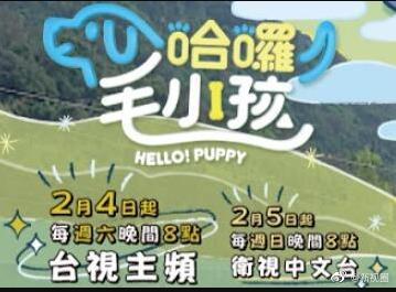 哈啰！毛小孩