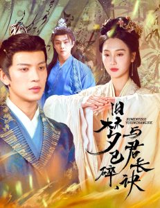 舊夢已碎，與君長訣＆終是深情錯付君